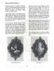 Family History (Part 02 of 04)